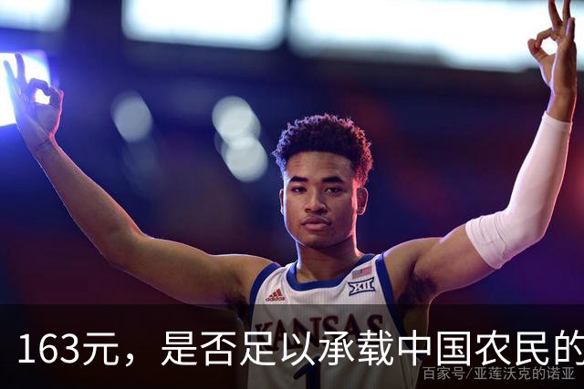 163元，是否足以承载中国农民的尊严与未来？
